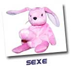 leptit lapin qi bande
